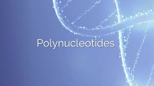Polynucleotides vs Hyaluronic Acid: What's the Difference — And Which One Does Your Skin Actually Need?