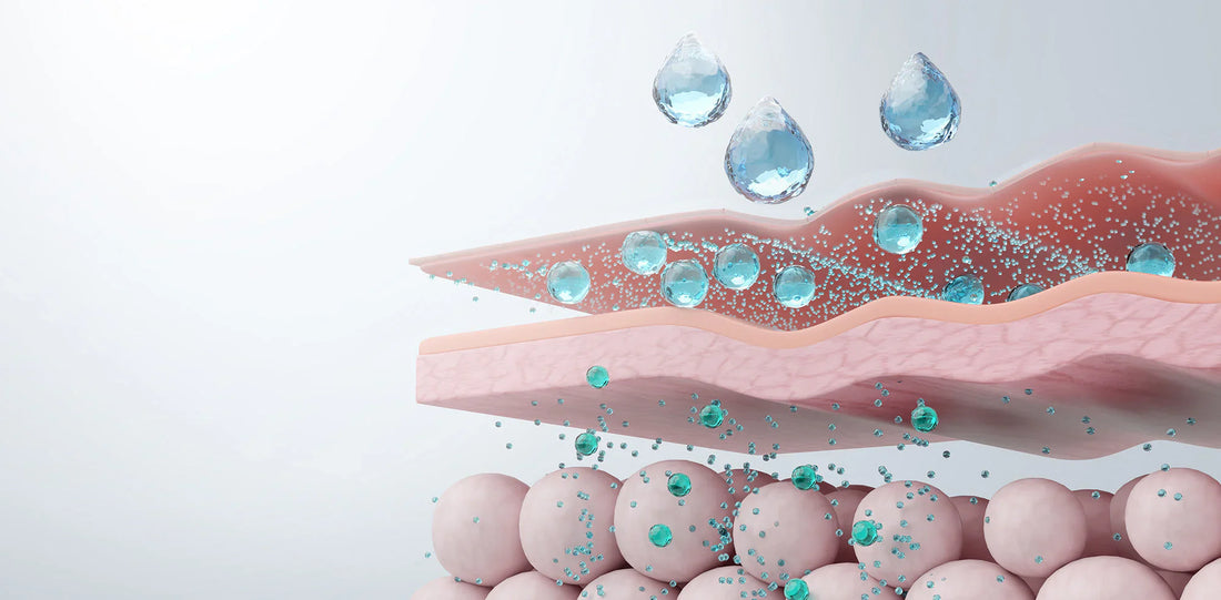What Does "Skin Barrier" Actually Mean? (And Why Yours Might Already Be Struggling)