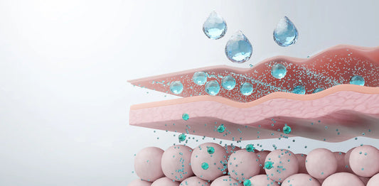 What Does "Skin Barrier" Actually Mean? (And Why Yours Might Already Be Struggling)